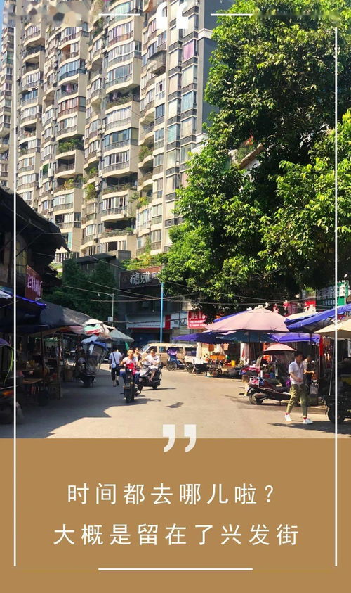 延安西路900号，上海的隐秘角落与城市记忆