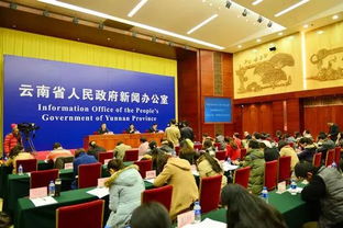 云南省高院，司法公正的守护者，法治云南的坚实基石