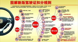 2013新交通法规扣分，安全驾驶的新指南针
