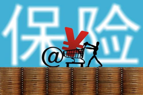 深入了解交强险费用，费用构成、影响因素及如何节省