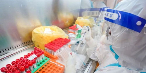 广东疫情新动态，广州新增6例本土确诊，我们如何共同应对？