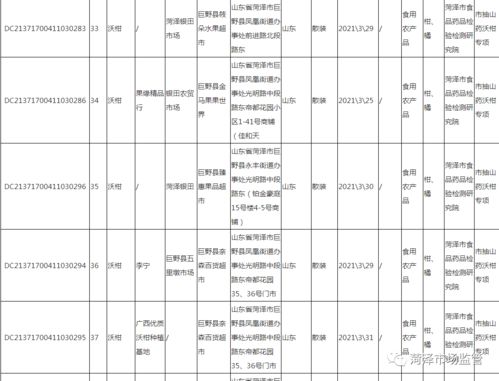 杭州市公安局局长，守护城市安全的领路人