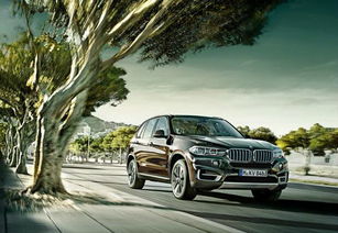 深入解析宝马车撞人案，法律责任、道德考量与社会影响