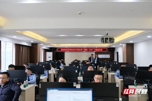 上海市税务局网站，数字化转型的典范与税务服务的未来