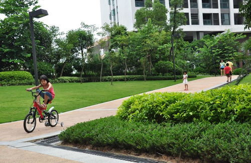 绿色生活，从我做起，如何维护和利用小区公共绿地