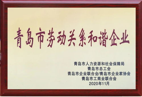搭建桥梁，如何以请示成立党支部，增强组织凝聚力