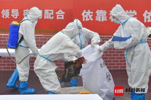 广安疫情警报，12天内感染者激增破千，紧急应对措施与市民生活影响