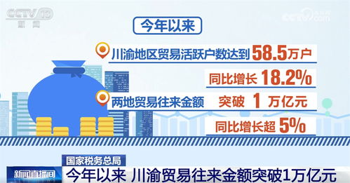 青岛国家税务局，税收服务与经济发展的桥梁