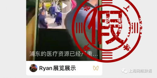 上海浦东跪地聚集事件，辟谣与真相探究