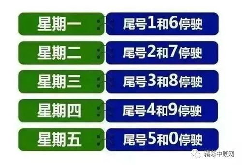 郑州限号查询，政策解读与实用指南