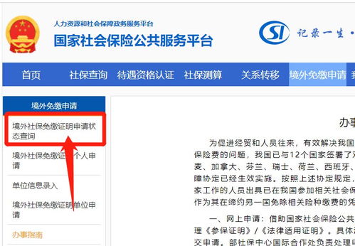 深圳社保退保全攻略，流程、条件与注意事项