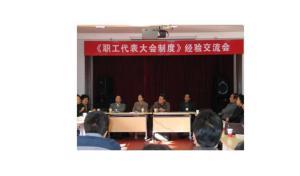 职工代表大会条例，企业民主管理的核心