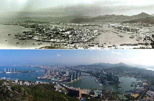 深圳复工号角吹响，生活与经济的复苏之旅