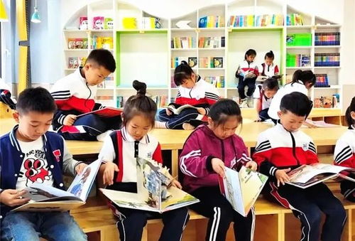 打造孩子们的知识乐园，小学图书室管理制度全解析