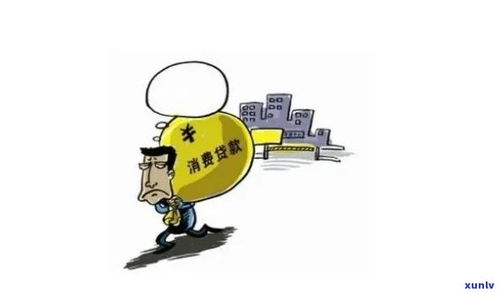 个人信用贷款，深入了解与明智选择