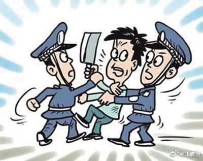 悲剧背后的深思，两幼童被推坠亡事件的警示与反思