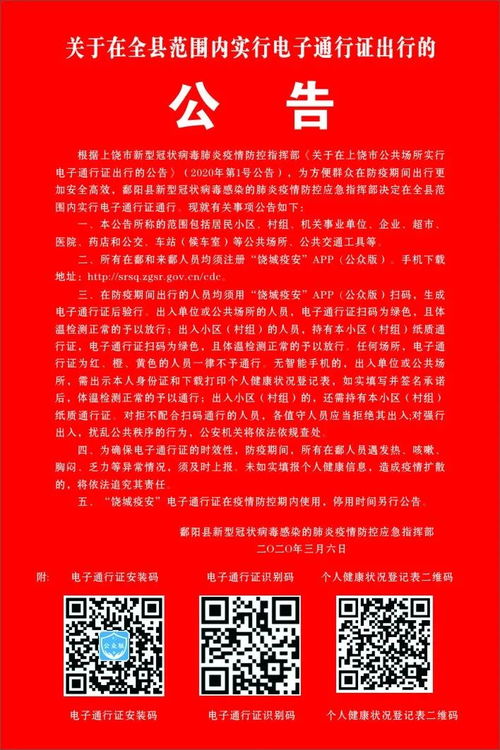 掌握通行证查询，保障出行顺畅的实用指南