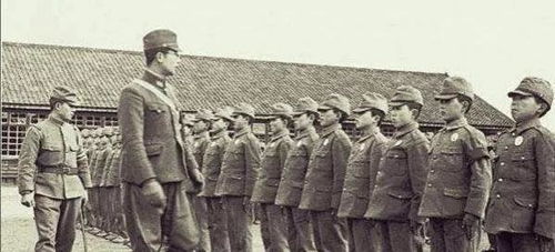 揭开历史的面纱，曹操墓造假事件的真相探究