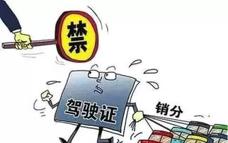 咸阳车辆违章查询，轻松掌握交通规则，避免罚款