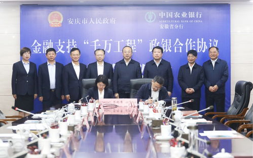 黄石市人民政府，城市发展的引领者与服务者