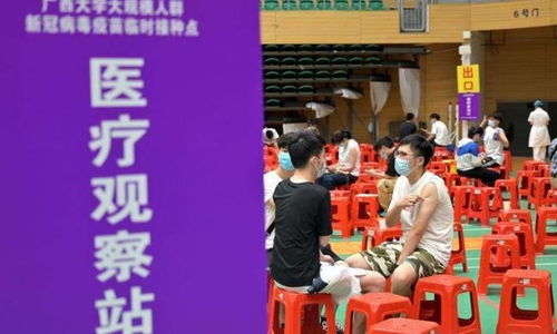 莱西疫情源头追踪，科学防控与社会响应的双重考验