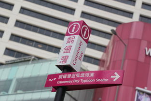 畅游港澳，一网打尽，网上签证港澳通行全攻略