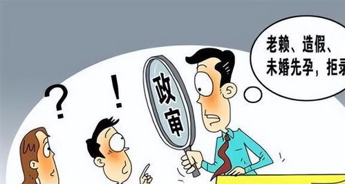 公务员政审材料，全面了解与准备指南