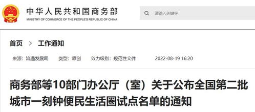 松江疫情，应对策略与生活指南