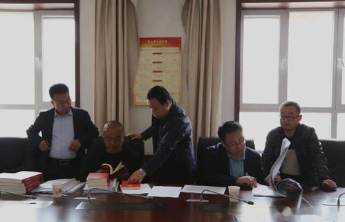 洛阳市交通违章查询，简单步骤与实用指南