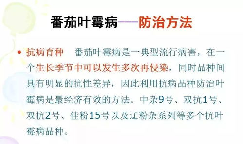 噪音的危害，了解、预防与应对策略
