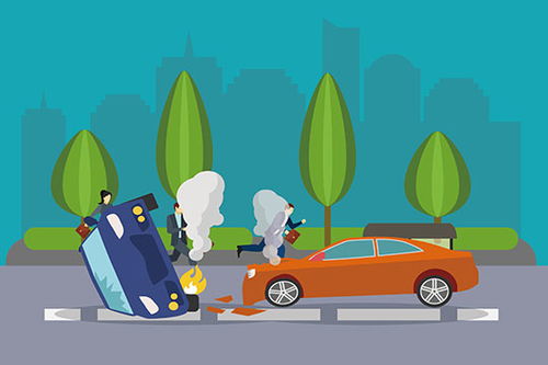 家中意外访客，保护动物的惊喜与责任