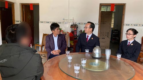 司法的桥梁，揭秘司法助理员的日常与影响力