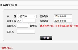 南京交通违章查询，便捷、高效、透明—掌握你的驾驶记录