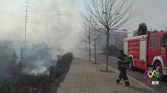 警惕小烟头的大隐患，男子扔烟头引爆炸事件的警示