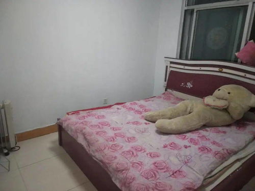 日照房屋出租，如何找到理想的家