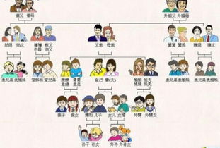 家族称谓的艺术，揭秘大伯的老婆称谓的奥秘