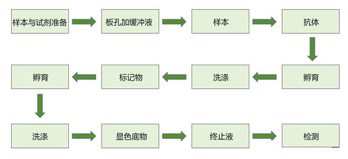 广州个人公司注销全攻略，流程、注意事项与常见问题解答
