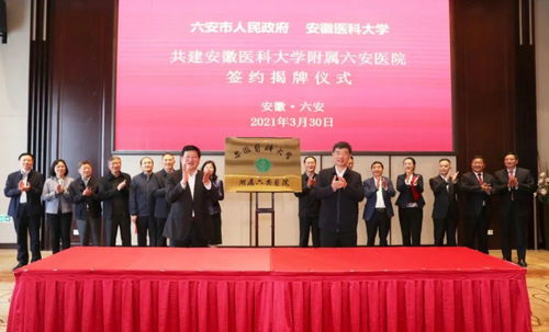 探索安徽医科大学第二附属医院，医疗卓越与创新的典范