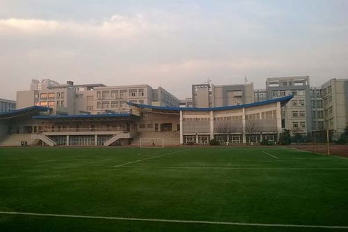 探索安徽医科大学第二附属医院，医疗卓越与创新的典范