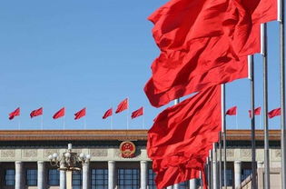 两会新政策解读，55岁退休的变革与影响