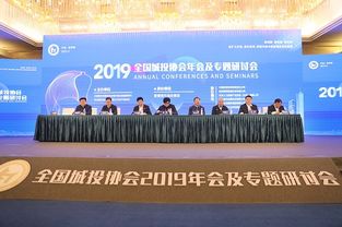 台湾省全国人大代表，桥梁与纽带，共绘两岸和谐蓝图