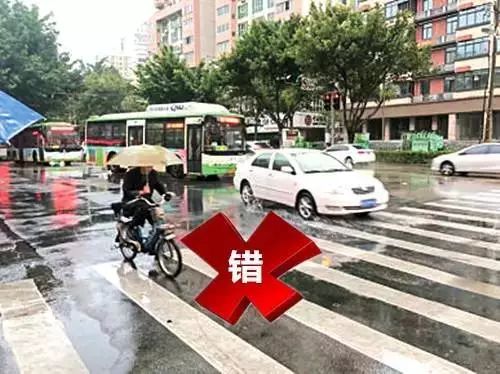 厦门交警违章处理，公正与效率的双重考验