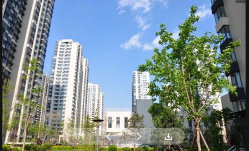 金阳房屋出租，城市绿洲中的温馨家园