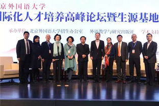 高安人才市场，机遇与挑战并存的就业新天地