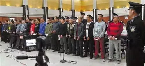 山西黑老大出狱事件，法治社会的反思与启示