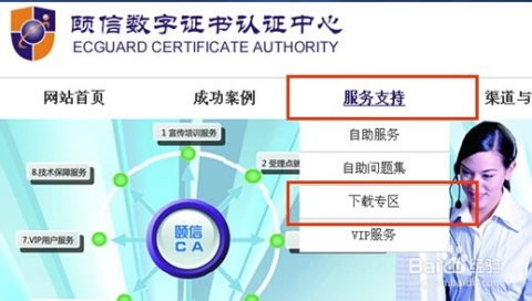 地税网上报税流程，简化您的税务申报之旅