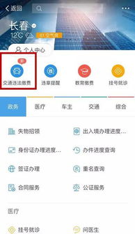 随州交通违章查询，如何高效便捷地掌握违章信息