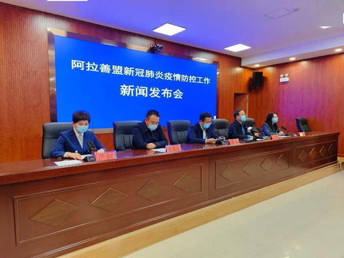 大连今日疫情快报，最新动态与防控措施解析