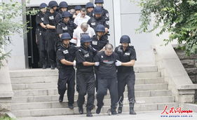 北京大兴灭门案，悲剧背后的警示与反思