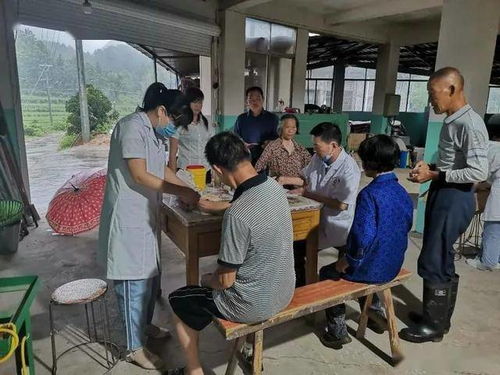 辽宁省卫生厅，守护健康，筑牢公共卫生防线